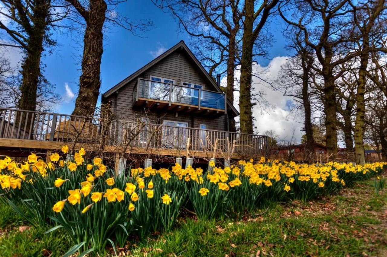 Ilodge Ultra Louth  Exterior foto